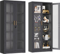 Black Lockable Glass Display Cabinet